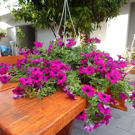 Apartments & Rooms Marinka زادار المظهر الخارجي الصورة