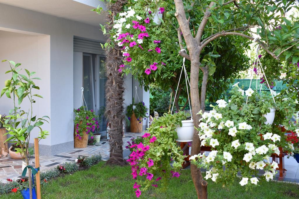 Apartments & Rooms Marinka زادار المظهر الخارجي الصورة